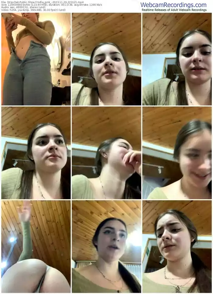 stripchat-sofia_pink_-11-29-2023-22-31-21