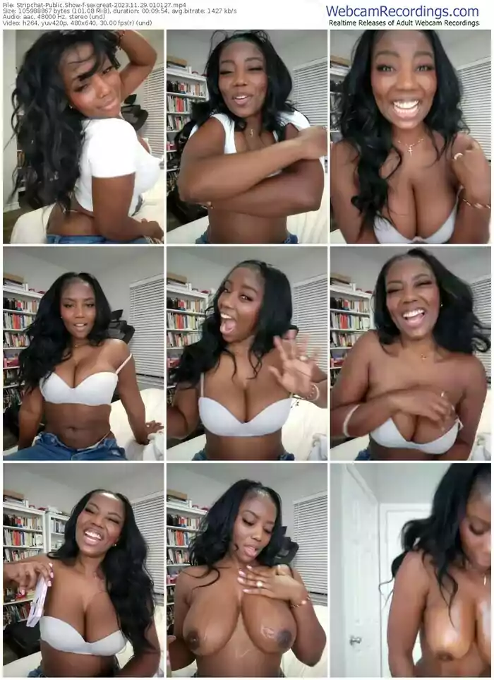 stripchat-sexgreat-11-29-2023-01-01-27