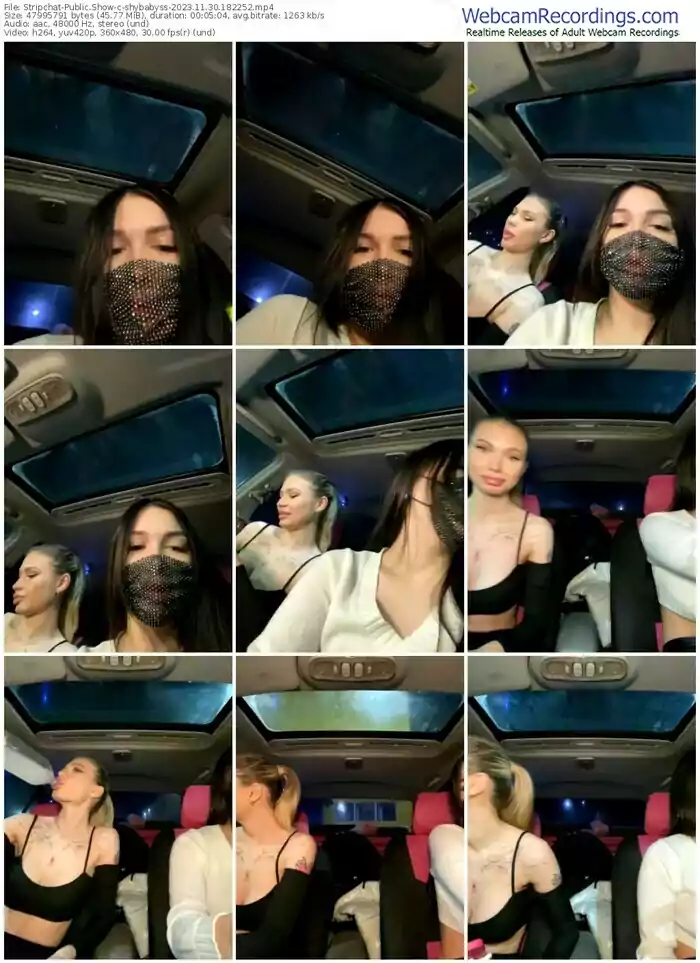 stripchat-shybabyss-11-30-2023-18-22-52