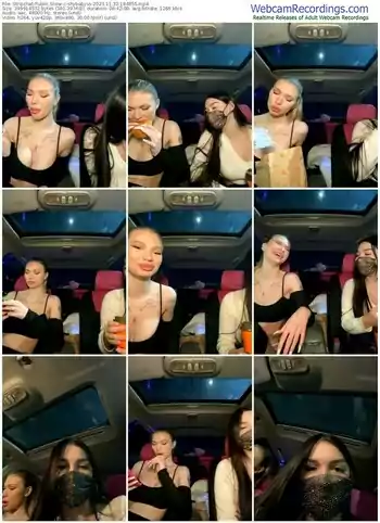 stripchat-shybabyss-11-30-2023-18-48-55