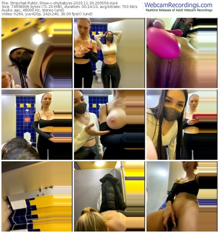 stripchat-shybabyss-11-30-2023-20-05-56