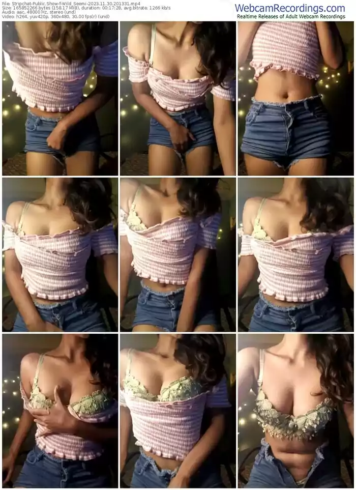 stripchat-wild_seemi-11-30-2023-20-13-31