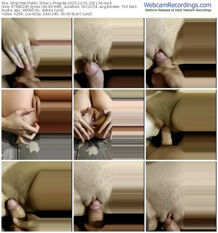 stripchat-fregida-12-01-2023-20-11-34