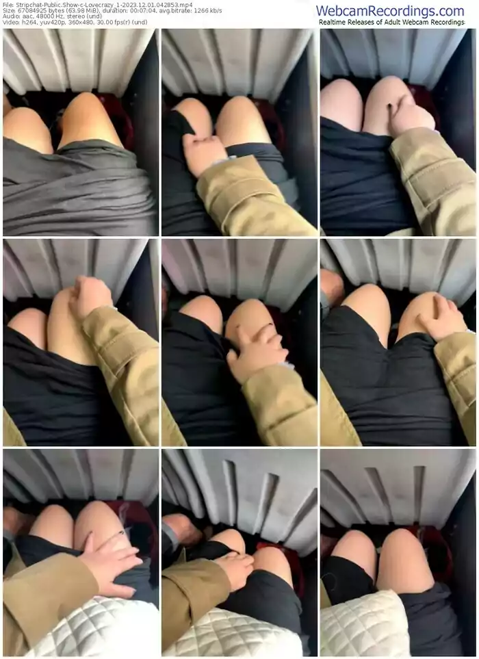 stripchat-lovecrazy_1-12-01-2023-04-28-53
