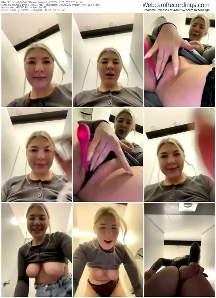 stripchat-newlale-12-01-2023-07-00-26