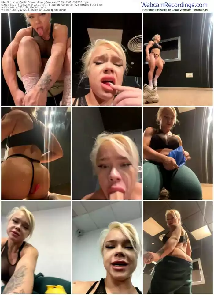 stripchat-pennyprincess-12-01-2023-09-22-50