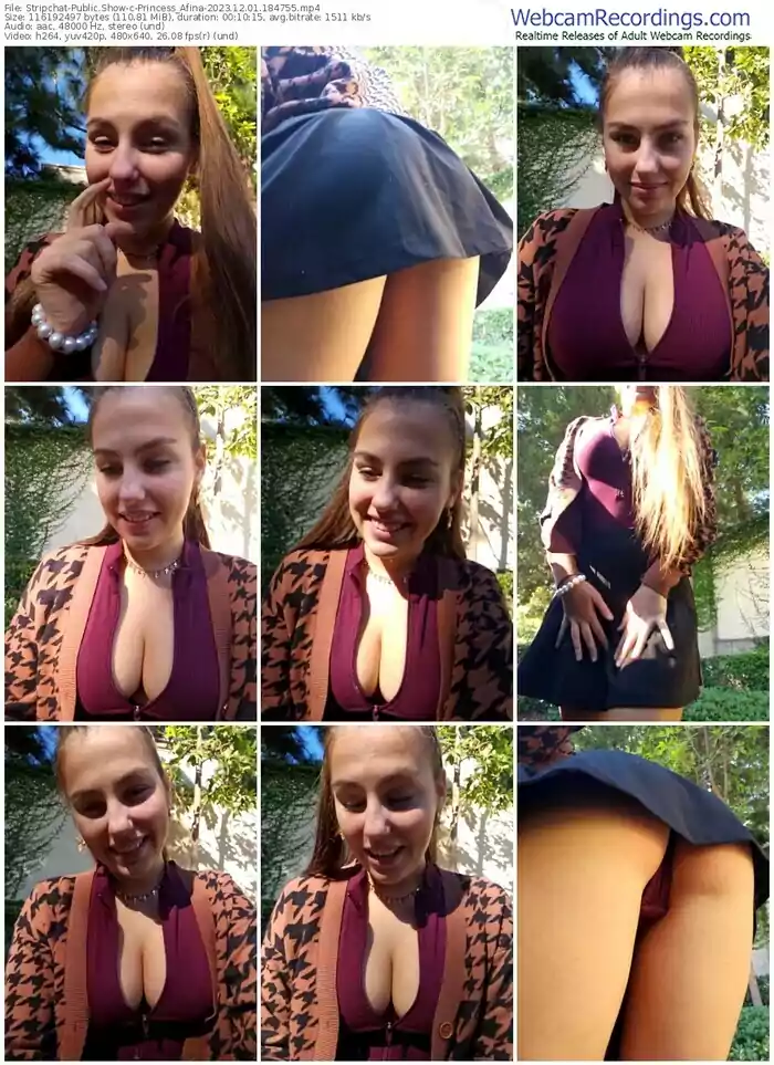 stripchat-princess_afina-12-01-2023-18-47-55