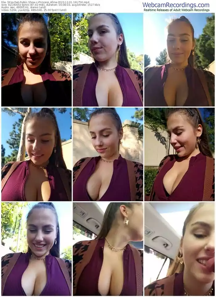 stripchat-princess_afina-12-01-2023-19-17-56