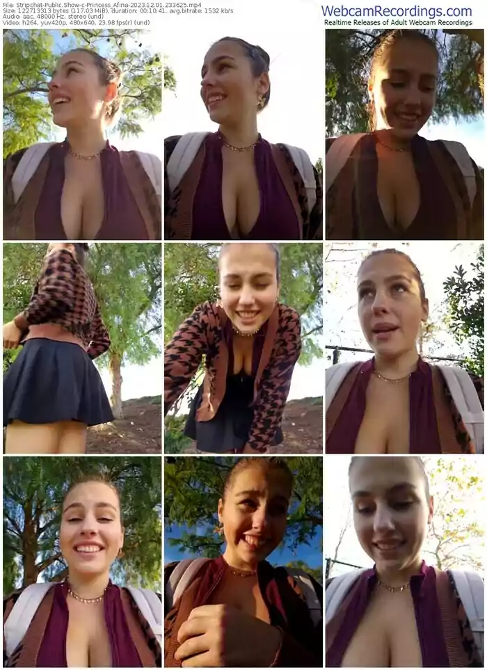 stripchat-princess_afina-12-01-2023-23-36-25