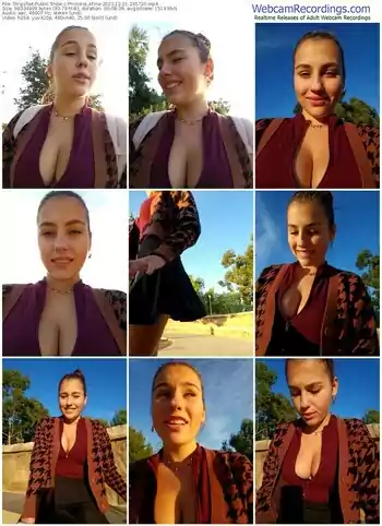 stripchat-princess_afina-12-01-2023-23-57-20