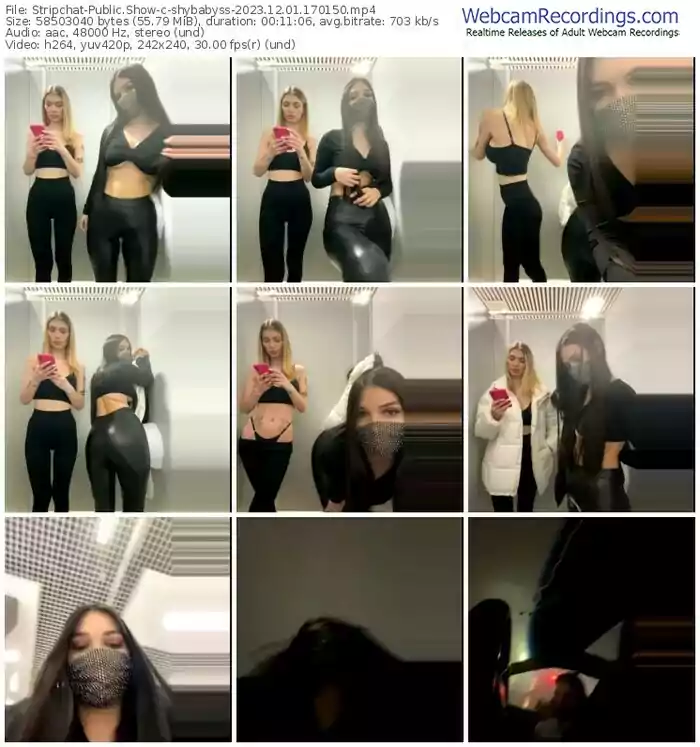 stripchat-shybabyss-12-01-2023-17-01-50