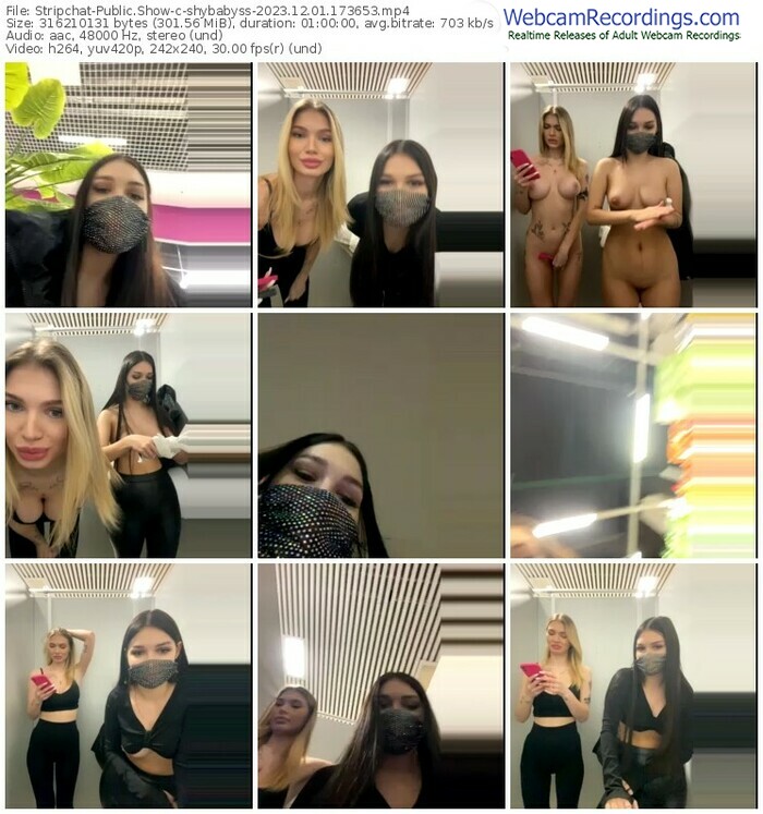stripchat-shybabyss-12-01-2023-17-36-53
