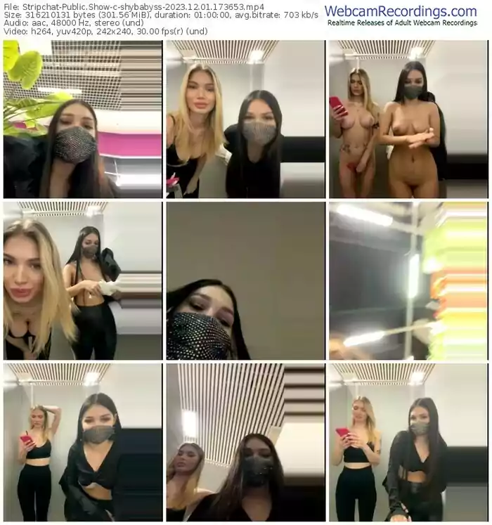 stripchat-shybabyss-12-01-2023-17-36-53