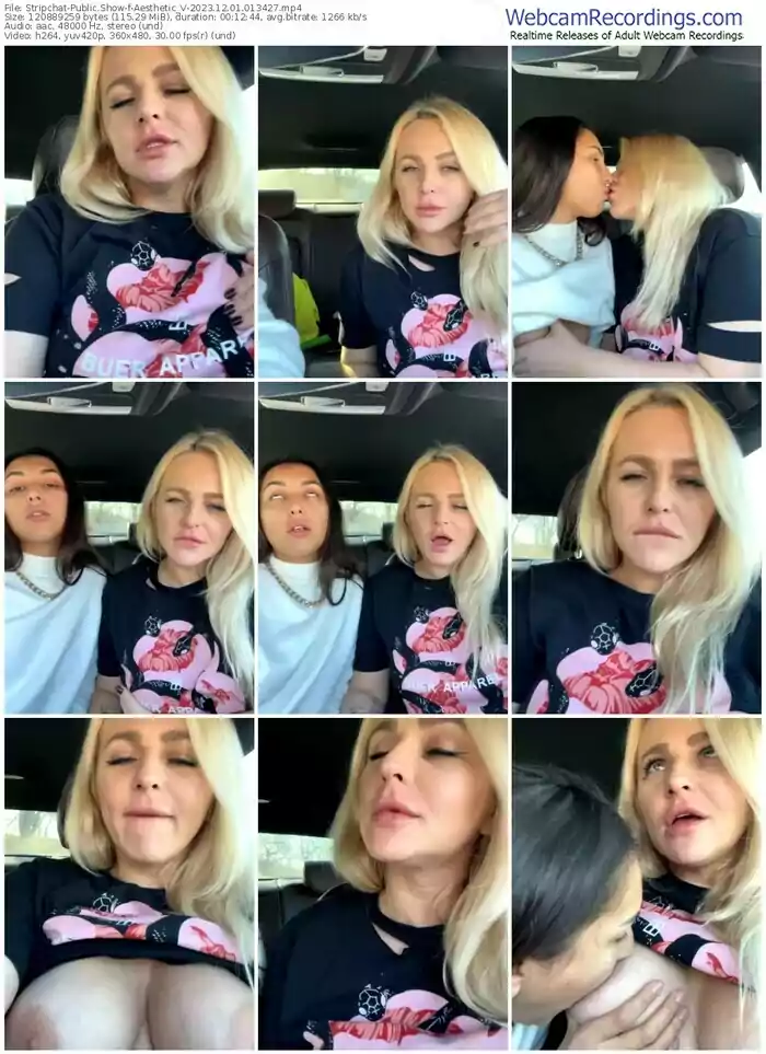 stripchat-aesthetic_v-12-01-2023-01-34-27