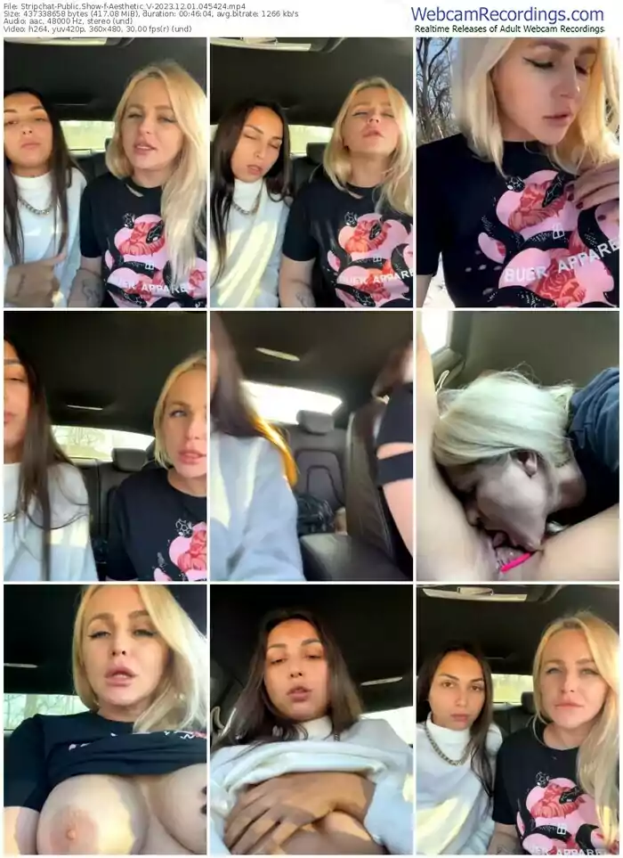 stripchat-aesthetic_v-12-01-2023-04-54-24