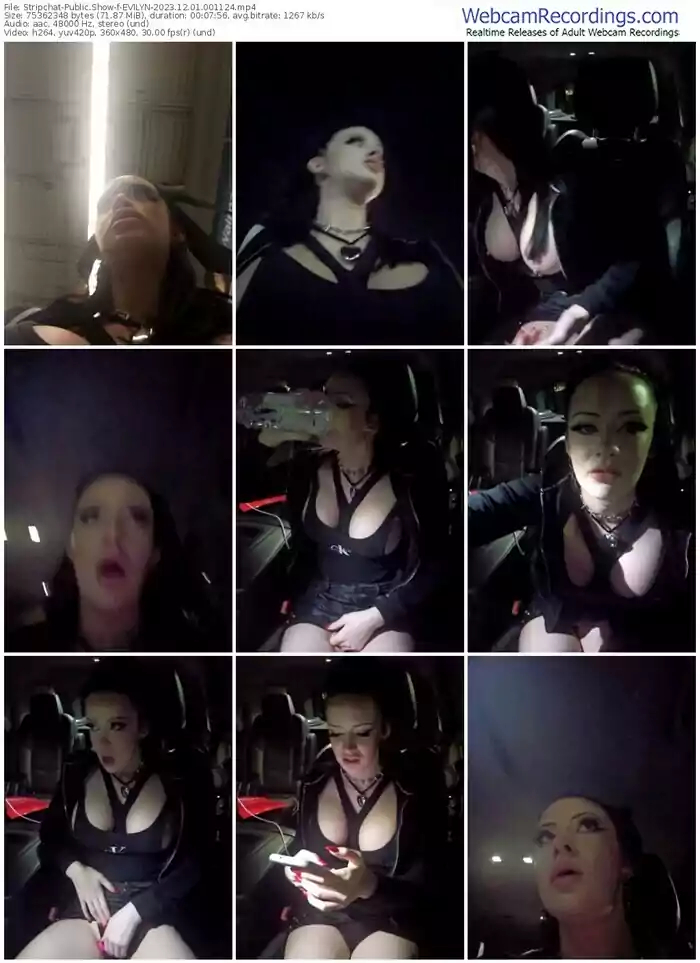 stripchat-evilyn-12-01-2023-00-11-24