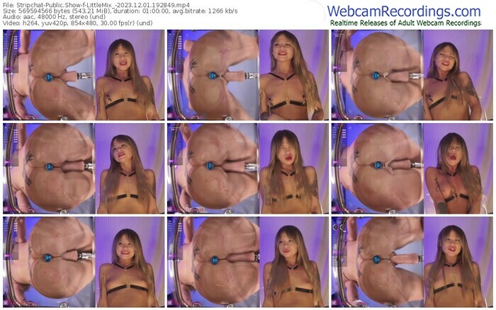 stripchat-littlemix_-12-01-2023-19-28-49