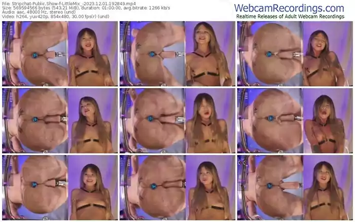 stripchat-littlemix_-12-01-2023-19-28-49