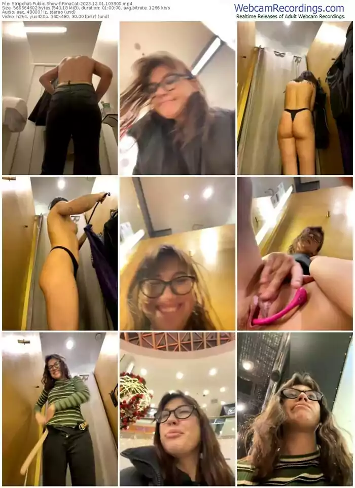 stripchat-rinacat-12-01-2023-10-38-00