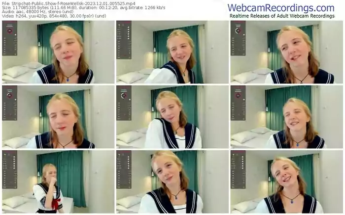 stripchat-rosewellsk-12-01-2023-00-55-25