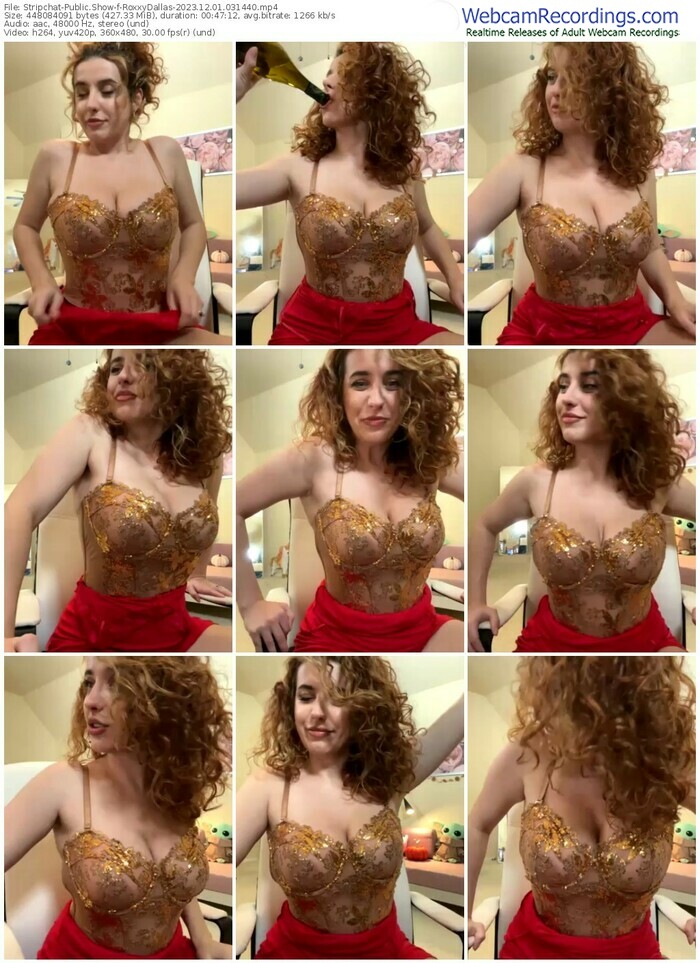 stripchat-roxxydallas-12-01-2023-03-14-40