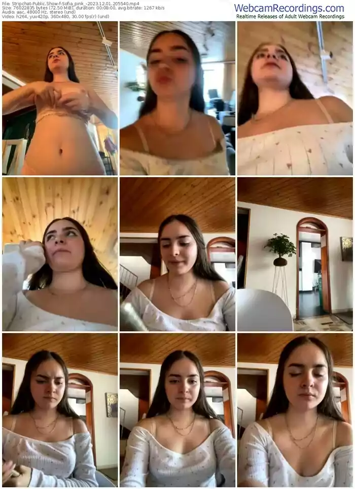 stripchat-sofia_pink_-12-01-2023-20-55-40