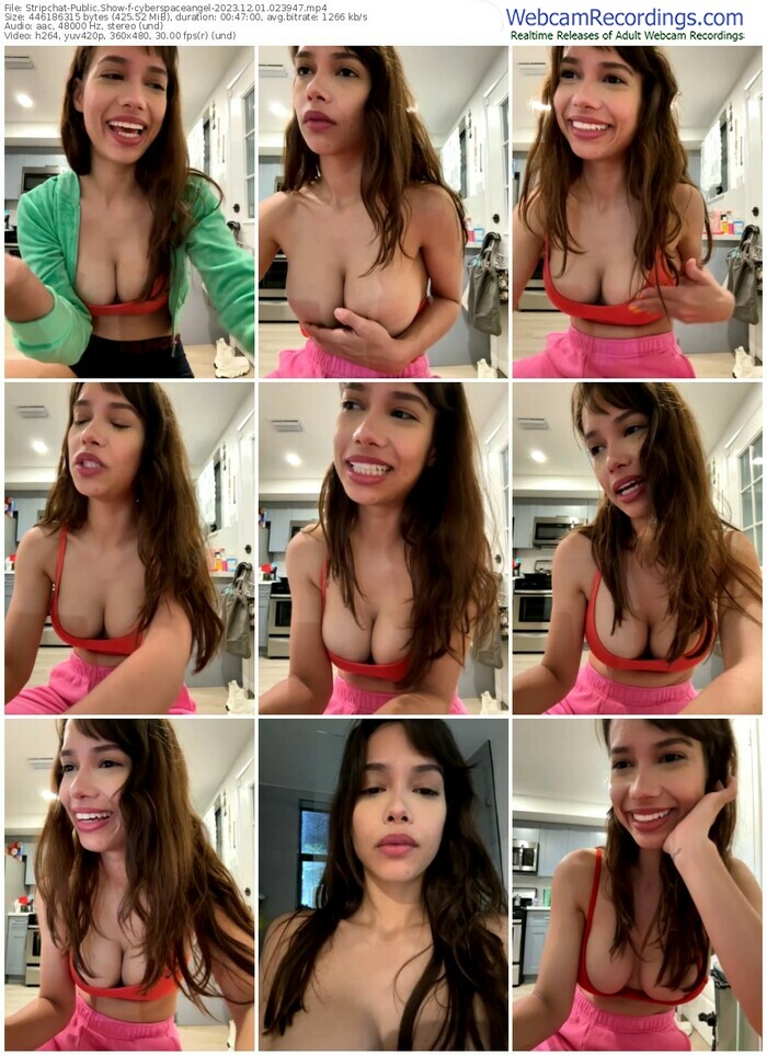 stripchat-cyberspaceangel-12-01-2023-02-39-47