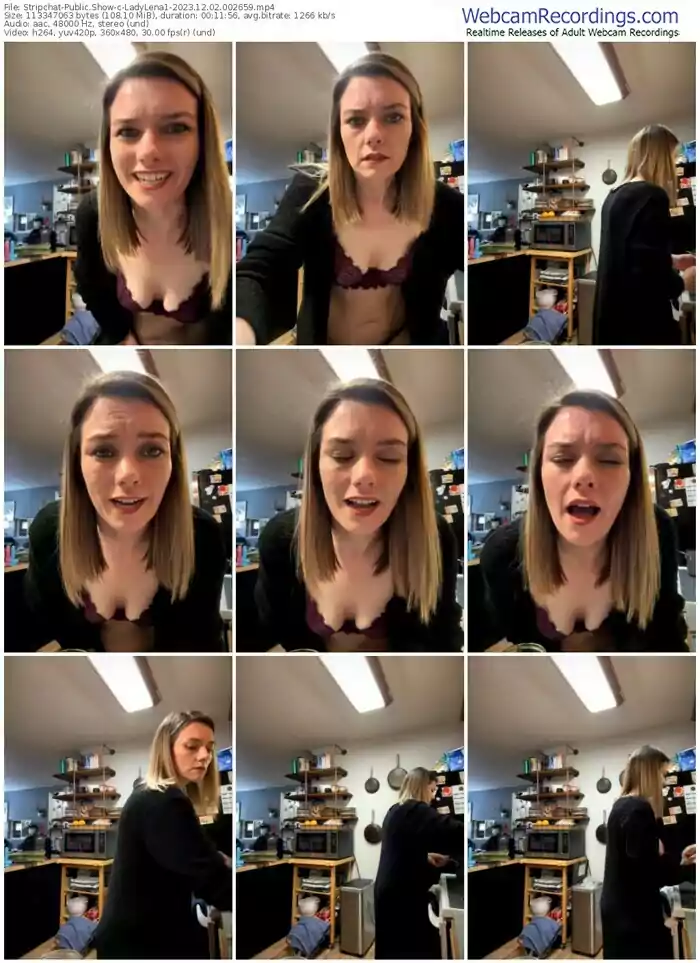 stripchat-ladylena1-12-02-2023-00-26-59
