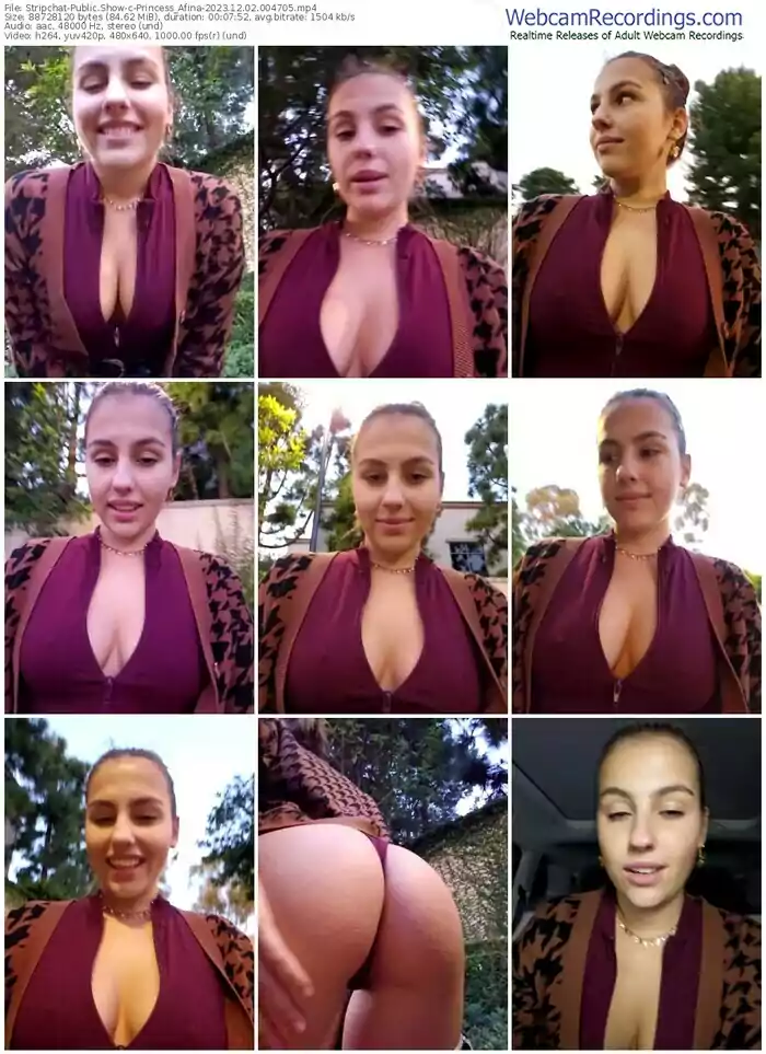 stripchat-princess_afina-12-02-2023-00-47-05