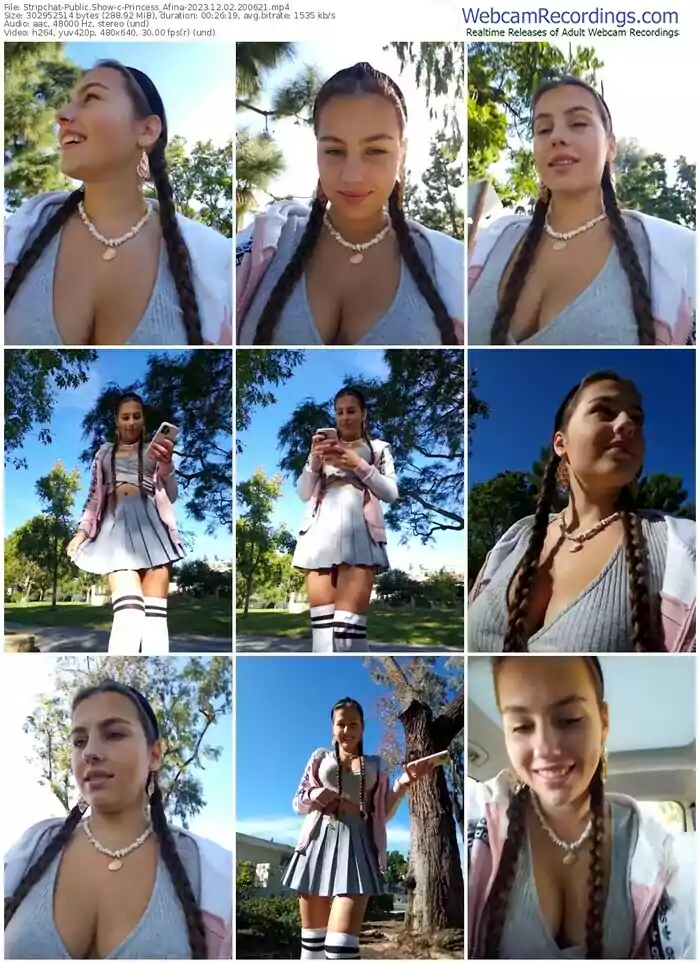 stripchat-princess_afina-12-02-2023-20-06-21