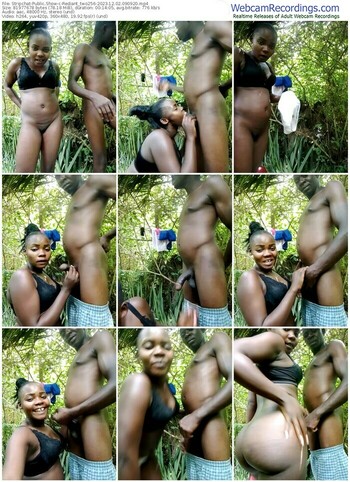 stripchat-rediant_two256-12-02-2023-09-09-20