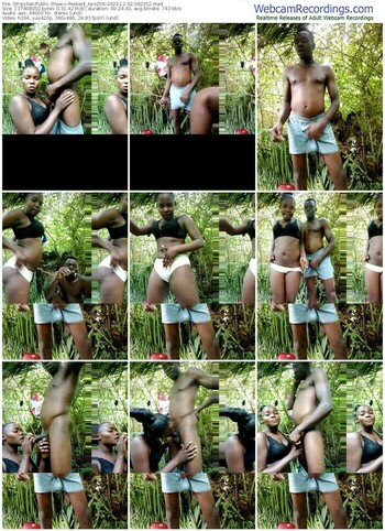 stripchat-rediant_two256-12-02-2023-09-23-52