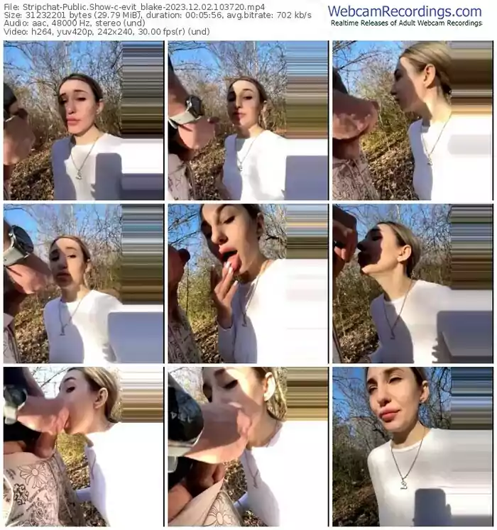 stripchat-evit_blake-12-02-2023-10-37-20