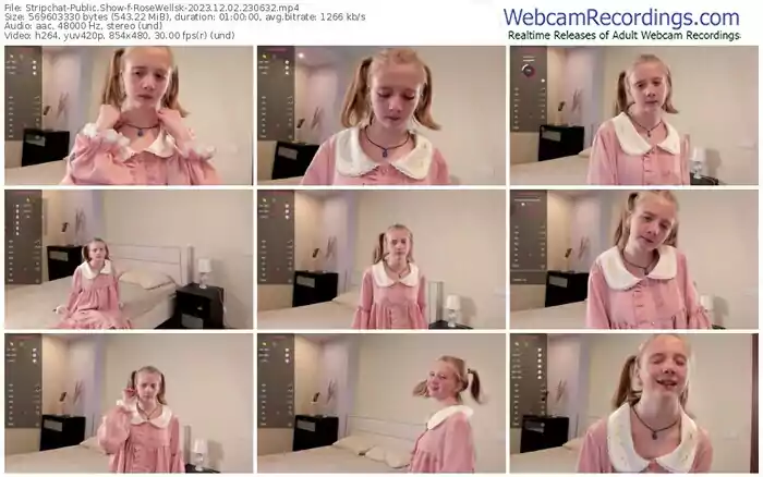 stripchat-rosewellsk-12-02-2023-23-06-32