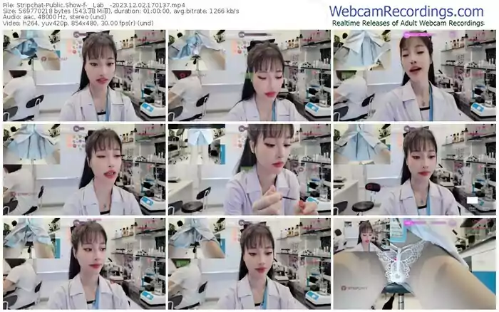 stripchat-__lab__-12-02-2023-17-01-37