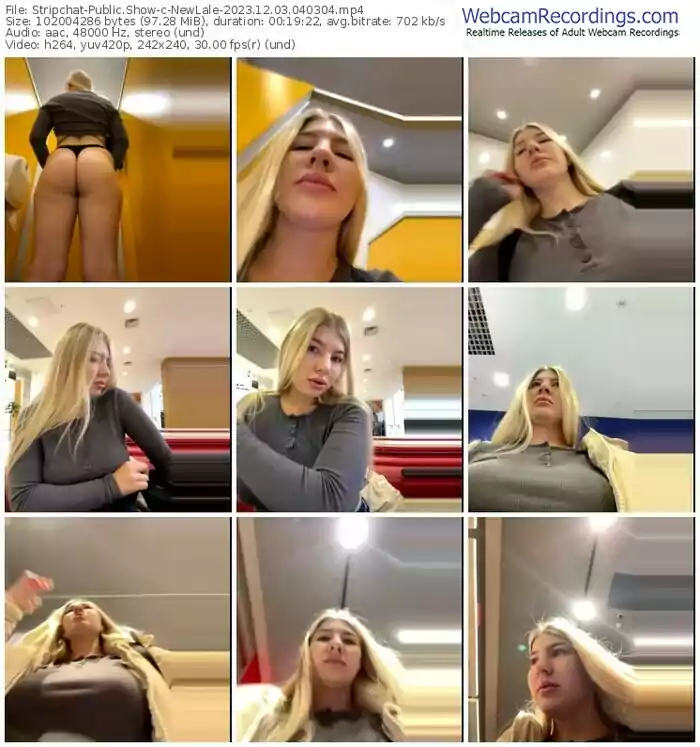 stripchat-newlale-12-03-2023-04-03-04