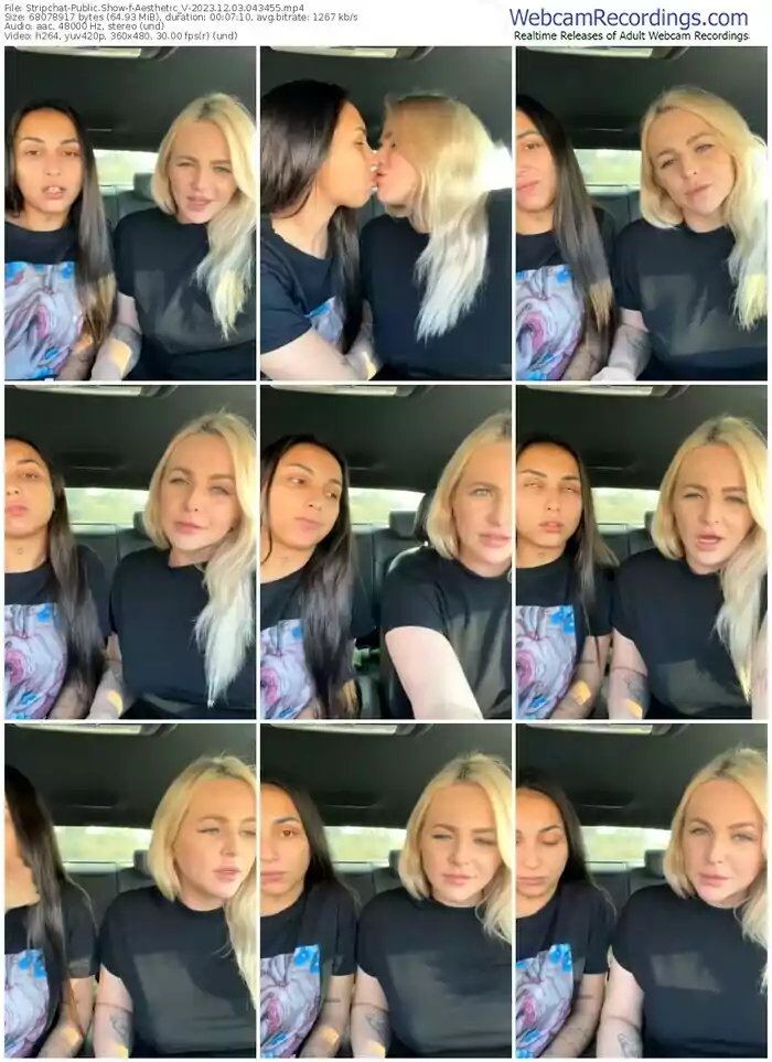 stripchat-aesthetic_v-12-03-2023-04-34-55