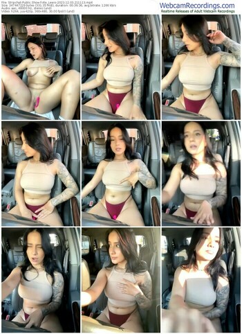 stripchat-ale_lewis-12-03-2023-21-11-13