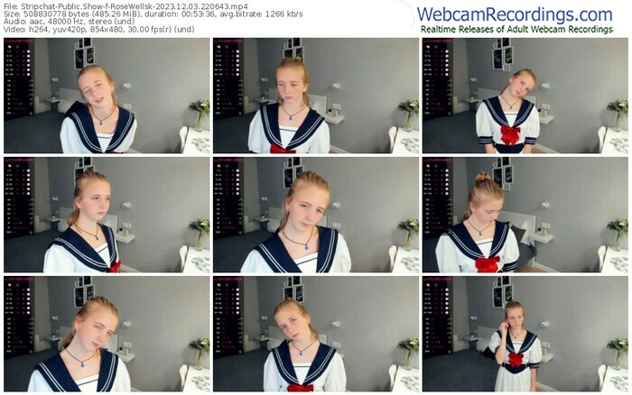 stripchat-rosewellsk-12-03-2023-22-06-43