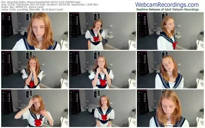 stripchat-rosewellsk-12-03-2023-23-56-09