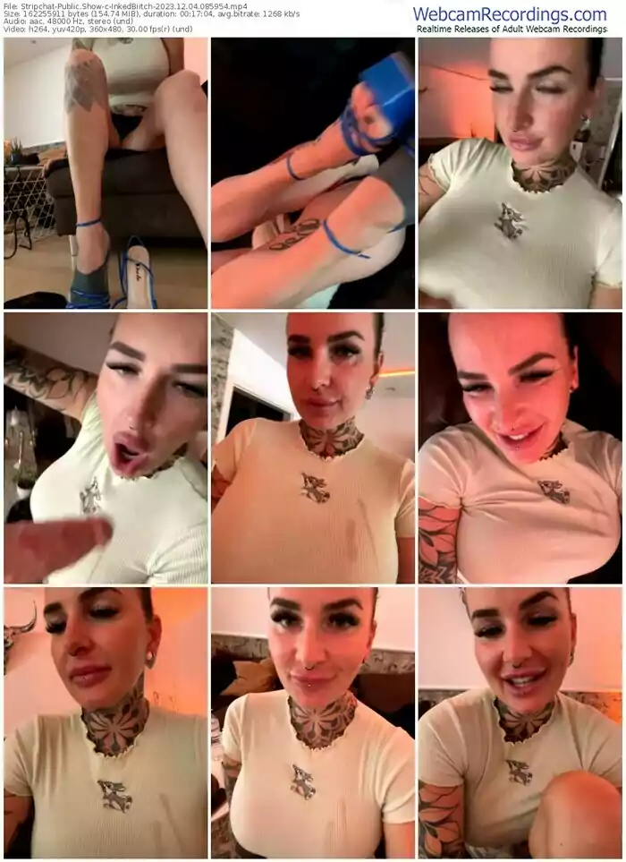 stripchat-inkedbiitch-12-04-2023-08-59-54