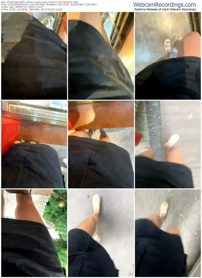 stripchat-juny-lany-12-04-2023-06-33-40