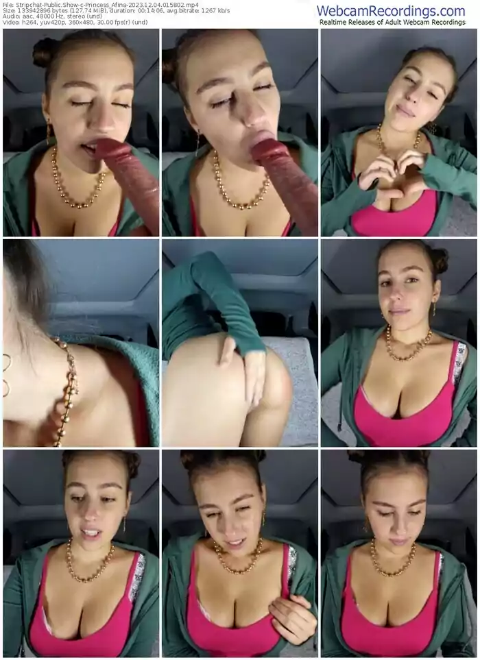 stripchat-princess_afina-12-04-2023-01-58-02