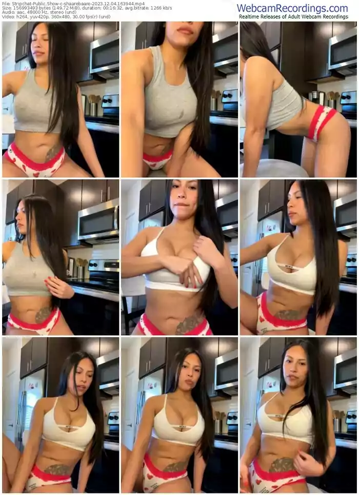 stripchat-shaarebaare-12-04-2023-16-39-44