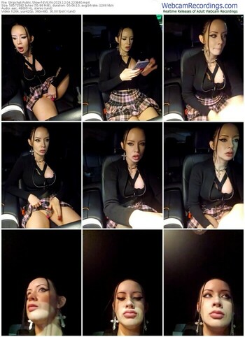 stripchat-evilyn-12-04-2023-22-38-40