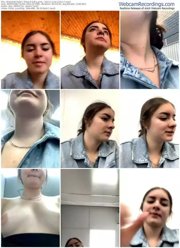 stripchat-sofia_pink_-12-04-2023-15-51-17