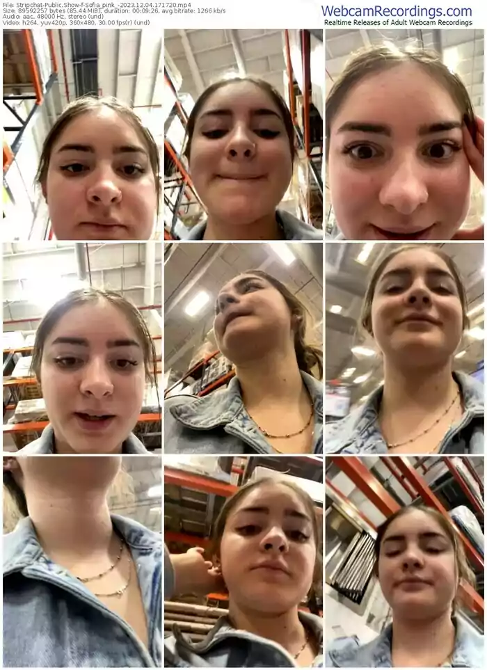 stripchat-sofia_pink_-12-04-2023-17-17-20