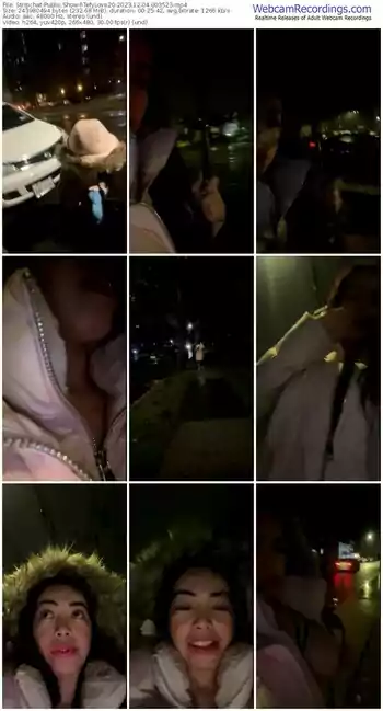 stripchat-tefylove20-12-04-2023-00-35-23