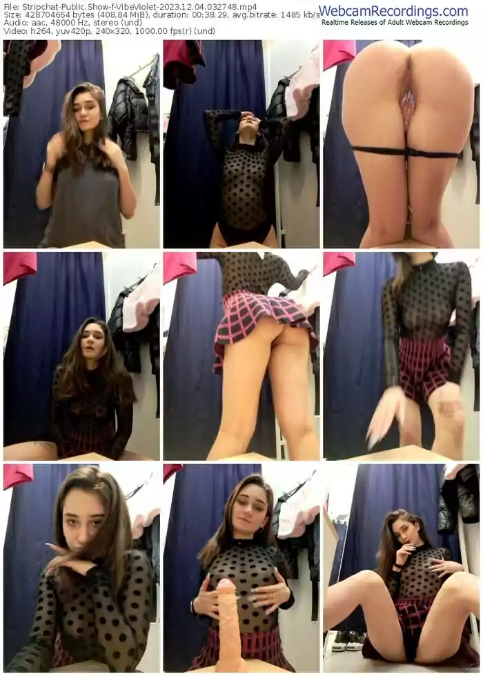 stripchat-vibeviolet-12-04-2023-03-27-48