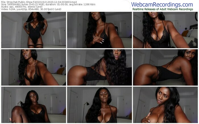 stripchat-k0101010-12-04-2023-00-34-03